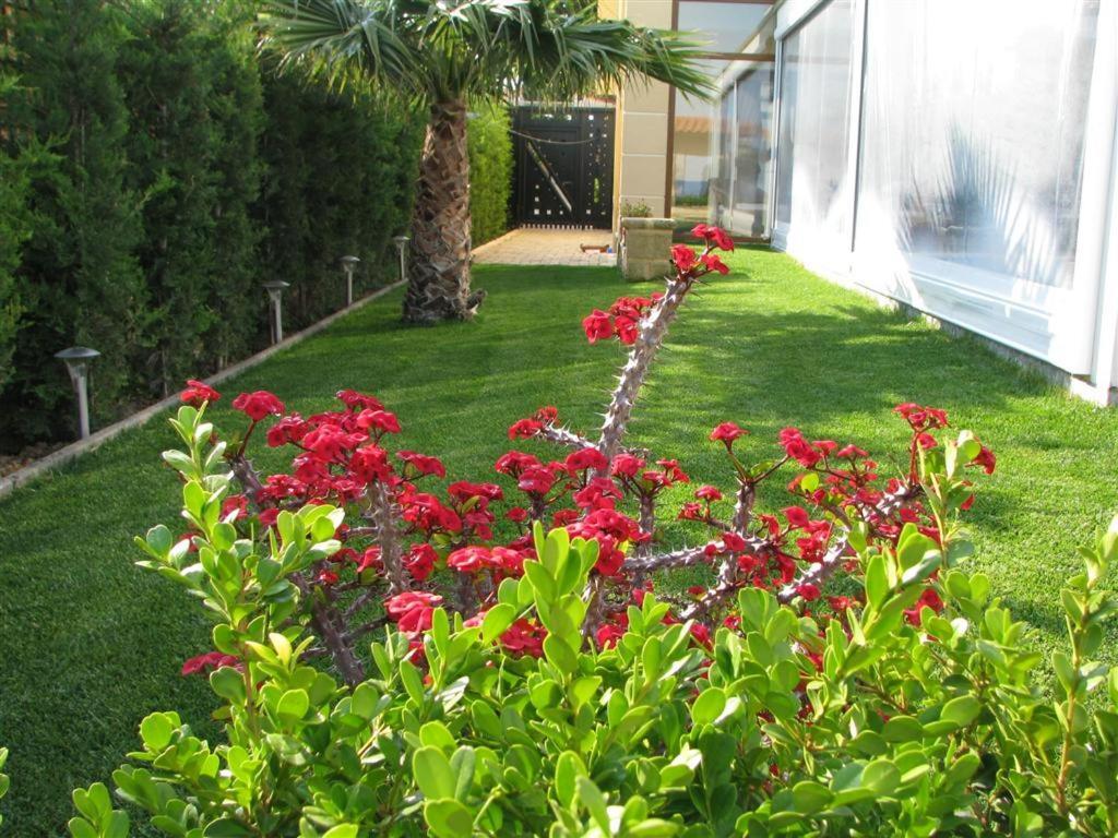Stone Guesthouse Corinth Εξωτερικό φωτογραφία